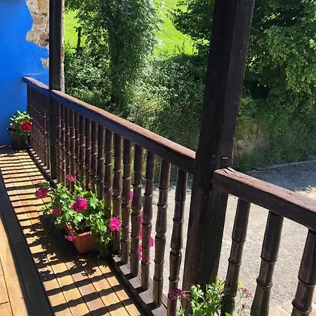 Elbosqueencantadocantabria *