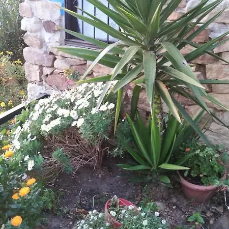 Holiday home Elbosqueencantadocantabria *