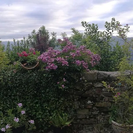 Elbosqueencantadocantabria * Ampuero