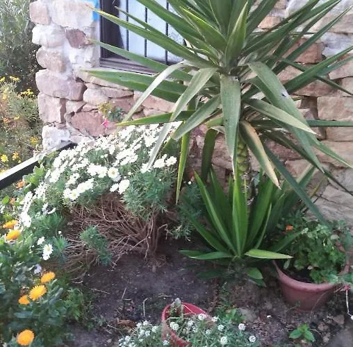 Prázdninový dům Elbosqueencantadocantabria *