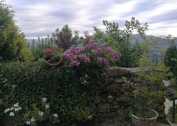 Elbosqueencantadocantabria * Ampuero